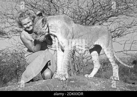 Joy Adamson auteur de Born Free wqith Elsa The leioness au Kenya. Images originales de Joy Adamson Born Free photo Collection prises principalement de 1940 au début des années 1960 au Kenya. Banque D'Images