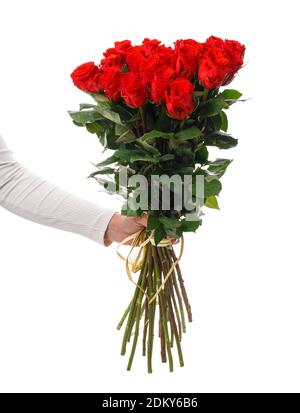 Main femelle tenant un beau bouquet de roses rouges vives avec une longue tige sur fond blanc. Banque D'Images