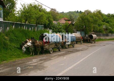 Gitans (Romani/Rroma) Traversée de la Roumanie dans une caravane de calèche Banque D'Images