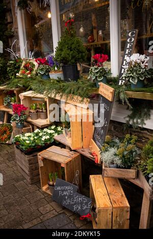 Royaume-Uni, Angleterre, Oxfordshire, Chipping Norton, Cattle Market, Mash maison, boutique de garde-manger et café exposition extérieure de Noël Banque D'Images