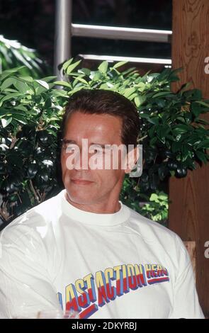 Star of 'The Last action Hero', Arnold Schwarzenegger, 16 mai 1993 / référence du dossier # 34000-1178PLTHA Banque D'Images