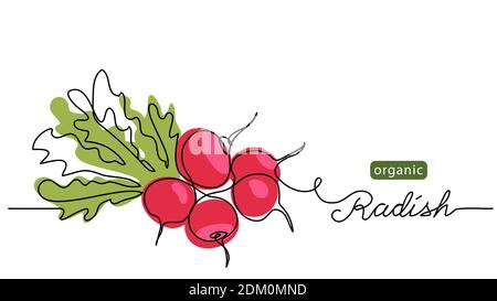 Paquet de radis rouges, bouquet. Illustration vectorielle, étiquette, arrière-plan. Illustration d'un dessin d'art à une ligne avec un radis organique lettrage Illustration de Vecteur