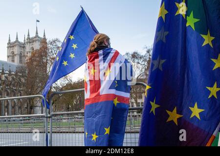 14 décembre 2020, Angleterre, Londres : une femme participe à une manifestation anti-Brexit sur la place du Parlement. Banque D'Images