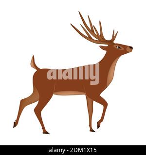 Cerf marchant isolé sur une illustration vectorielle 3d blanche Illustration de Vecteur