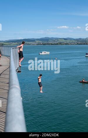 Tauranga Nouvelle-Zélande - décembre 6 2020 ; saut depuis le pont historique en acier Tauranga Railway dans le port ci-dessous. Banque D'Images