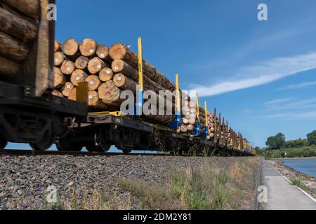 Tauranga Nouvelle-Zélande - décembre 6 2020; wagons chargés de bois sur le passage de train le long du chemin de fer jusqu'au port en train. Banque D'Images