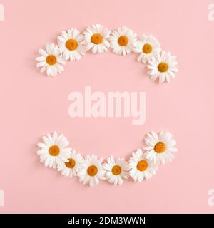 Couronne faite de fleurs de camomille blanches sur un pastel rose arrière-plan Banque D'Images