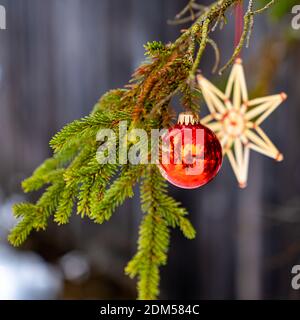 Christbaumschmuck Outdoor Am Tannenzweig. Décoration d'arbre de Noël dans la forêt. Rote Christbaumkugeln und Strohstern, Corona Christmas Time Autriche Banque D'Images