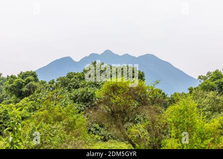 Volcans de Virunga et Parc national de Gorilla de Mgahinga de Kisoro en début de matinée avec brume dans la vallée. District de Kisoro, Ouganda, Afrique. Banque D'Images