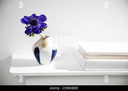 Une anémone bleue dans un vase multicolore dans le style des années 70 sur la table avec des livres comme décoration intérieure. Banque D'Images