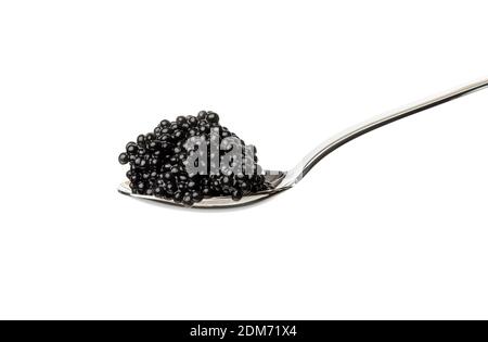 fresh grainy black paddlefish caviar in metal spoon isolated on white background, close up Stock Photo