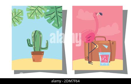 Cactus flamant d'été et sac en cadres design, vacances et thème tropical illustration vectorielle Illustration de Vecteur
