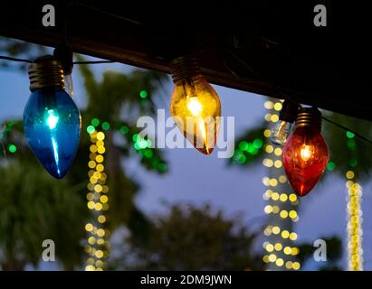 Des lumières de Noël longent le toit avec de la lumière sur les arbres arrière-plan Banque D'Images