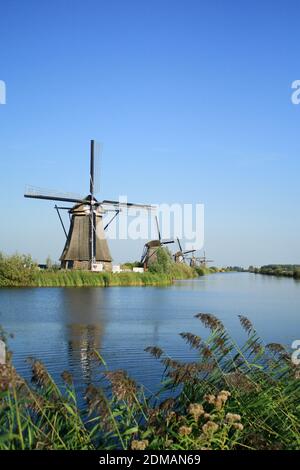 Moulins à vent historiques à Kinderdijk, Kinderdijk-Elshout, Hollande, pays-Bas Banque D'Images