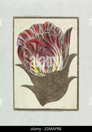 Valentin salutation, Chromolithograph, peinture or sur isenglass sur papier gaufré, UNE tulipe, sous dont la fleur est un poème de huit lignes, 'le signe de Lover,' imprimé en or sur isenglass., États-Unis, ca. 1875, carte de vœux, carte de vœux Banque D'Images