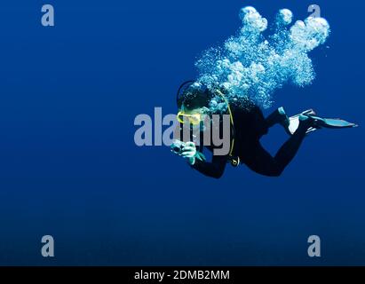 Plongée sous-marine récréative avec masque jaune, nuage de bulles dans le costume noir néoprène prenant photo sous-marine dans l'eau bleu profond de la mer Rouge avec grand vi Banque D'Images