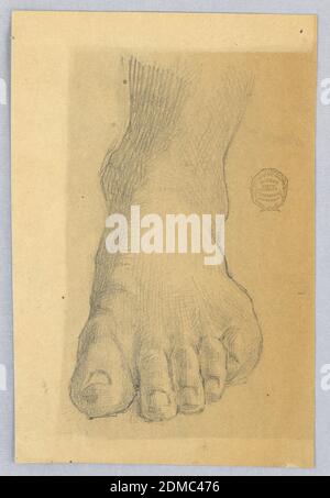 Etude du pied gauche, Francis Augustus Lathrop, américain, 1849 - 1909, Graphite sur papier brun, Etude d'un pied gauche et d'une cheville, de droite sur., USA, ca. 1895, figures, dessin Banque D'Images