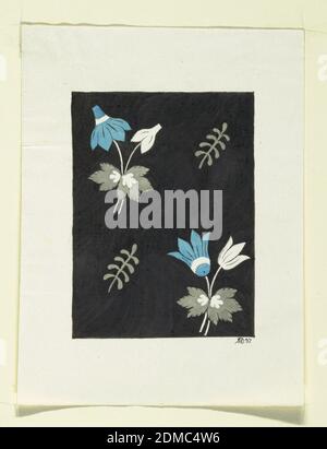 Motif floral pour les textiles imprimés, Louis-Albert DuBois, Suisse, 1752–1818, fabrique de Fazy aux Bergues, pinceau et gouache, graphite sur papier vélin blanc, deux groupes de fleurs bleues et blanches, deux fougères grises sur fond noir., France, 1800–1818, dessins textiles, dessin Banque D'Images