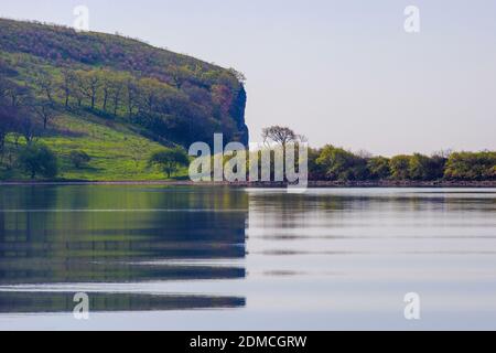 Un bald solitaire pousse à côté d'une petite maison sur une île désertique. Îles de Primorsky Krai, Russie Banque D'Images