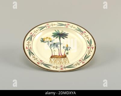 Hellebore d'hiver, faïence émaillée, circulaire; bordure avec décoration peinte de la vigne avec feuilles et fleurs; centre peint avec quatre fleurs et deux pousses qui sortent de la terre (Eranthus hyemalis - Aconite d'hiver), avec des racines accrochées en dessous., début du XIXe siècle, céramique, Arts décoratifs, plaque, assiette Banque D'Images