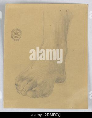 Etude du pied droit, Francis Augustus Lathrop, américain, 1849 - 1909, Graphite sur papier brun, Etude d'un pied droit et d'une cheville, de droite à droite. Orteils pointant vers le coin inférieur gauche., Etats-Unis, ca. 1895, figures, dessin Banque D'Images