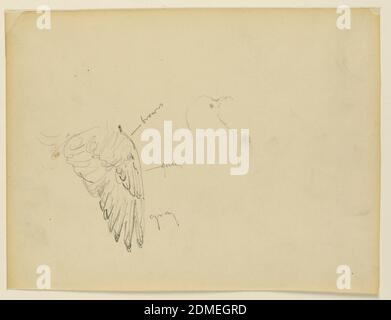 Etude pour 'The Beneficence of the Law', Essex County Courthouse, Newark, NJ, Kenyon Cox, American, 1856–1919, Graphite on paper, Recto: Croquis d'un oiseau; Verso: Croquis partiel d'une figure de femme assise., USA, 1905, figures, dessin Banque D'Images