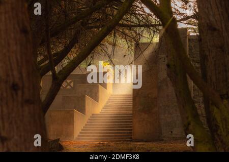 Sunbeam illumine des marches dans un parc de San Francisco Banque D'Images