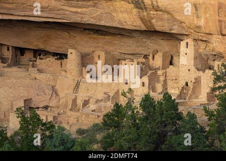Cliff Palace, Mesa Verde National Park, Colorado Banque D'Images
