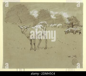 Moutons paître dans un champ, Winslow Homer, américain, 1836–1910, crayon noir, pinceau et gouache blanc sur papier gris, vue horizontale des moutons paître dans un champ, avec une rangée d'arbres en arrière-plan., États-Unis, 1878, paysages, dessin Banque D'Images