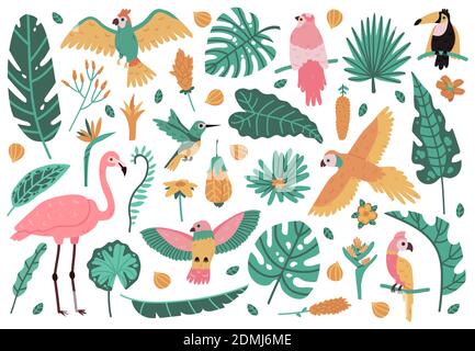 Feuilles et oiseaux exotiques. Feuilles tropicales, fleurs et oiseaux de la faune, perroquet, flamants roses et toucan. Illustrations vectorielles Jungle Exotic Elements Illustration de Vecteur
