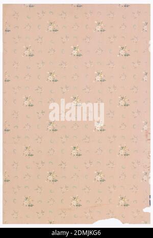 Papier de plafond, imprimé à la machine sur papier, sur sol rose, grappes de fleurs et de C-défiles en quinconce, États-Unis, 1907–08, revêtements muraux, papier de plafond Banque D'Images