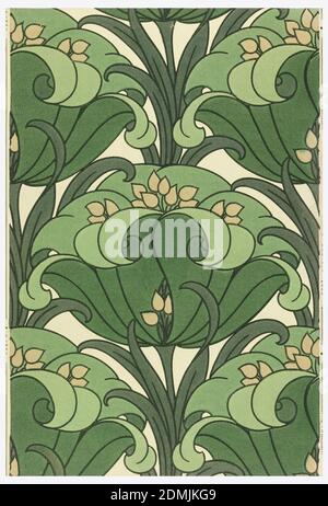 Flanc - échantillon, papier imprimé à la machine, fleurs à grande échelle imprimées en nuances de vert sur un sol blanc cassé., États-Unis, 1906–1908, revêtements muraux, flanc - échantillon Banque D'Images