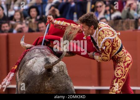 Bullfighter Manuel Escribano performs the "suerte de espada" during a bullfight of the "Feria de Abril" celebrated at Real Maestranza de Sevilla bullring on april 26, 2015 in Seville, Spain Banque D'Images