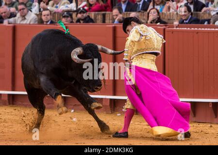 Le 26 avril 2015, à Séville, en Espagne, l'arènes Ivan Fandiño Diaz exécute une passe de capote lors d'un combat au taureau de la « Feria de Abril » célébrée au Real Maestranza de Sevilla Banque D'Images