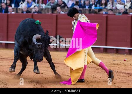 Le 26 avril 2015, à Séville, en Espagne, l'arènes Ivan Fandiño Diaz exécute une passe de capote lors d'un combat au taureau de la « Feria de Abril » célébrée au Real Maestranza de Sevilla Banque D'Images