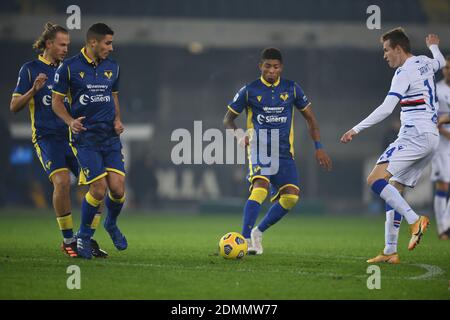 Verona, Italy. 16th Dec, 2020. Antonin Barak (Hellas Verona)Davide Faraoni (Hellas Verona)Eddie Salcedo (Hellas Verona)Jakub Jankto (Sampdoria) during the Italian Serie A' match between Hellas Verona 1-2 Sampdoria at Marc Antonio Bentegodi Stadium on December 16, 2020 in Verona, Italy. Credit: Maurizio Borsari/AFLO/Alamy Live News Stock Photo