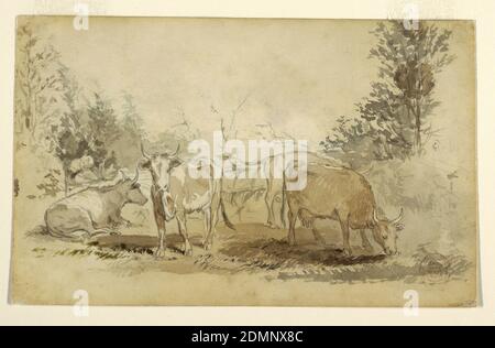 Vaches dans un pré, Winslow Homer, américain, 1836–1910, Brush et noir et brun lavage, graphite sur papier vélin blanc, quatre vaches (une sur le sol, une face au spectateur et deux pâturage) dans un pâturage herbacé avec des arbres de chaque côté., USA, 1858, paysages, dessin Banque D'Images