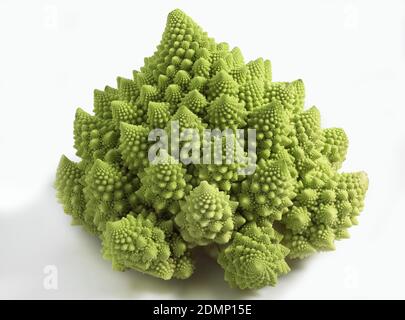 Le Chou Romanesco, Brassica oleracea against White Background Banque D'Images