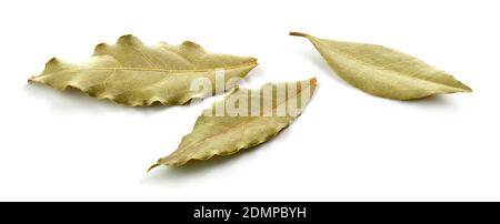 Les feuilles de laurier séchées isolé sur fond blanc Banque D'Images