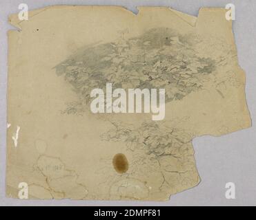 Étude du feuillage, William Trost Richards, américain, 1833–1905, Graphite sur papier, esquisse d'un arbre avec feuillage, États-Unis, 1er septembre 1868, études de la nature, dessin Banque D'Images