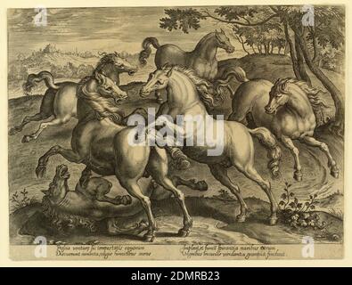 Chevaux de combat, du quatrième ensemble de 'Equile Joannis Austriaci', Jan van der Straet, appelé Stradanus, flamand, 1523–1605, Hieronymus Wierix, flamand, 1553 - 1619, engravant sur papier, deux chevaux se battent l'un avec l'autre; un troisième se trouve sur le sol. Trois sont en cours d'exécution. Marge inférieure, similaire -92: 'Prescia venturae sic tempestis equorum,' etc., pays-Bas, ca. 1575, études de la nature, Imprimer Banque D'Images