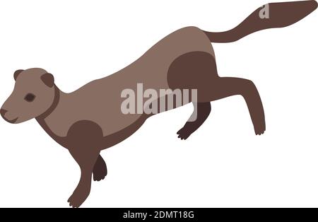 Icône PET Mink. Isométrique de l'icône de vecteur de vison d'animal de compagnie pour la conception de Web isolée sur fond blanc Illustration de Vecteur