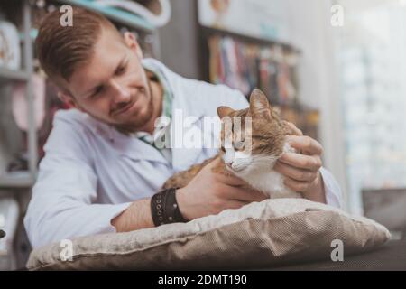 Handsome young male veterinarian doctor smiling, petting beautiful cat, working at his vet clinic. Cheerful vet examining adorable cat, copy space Banque D'Images