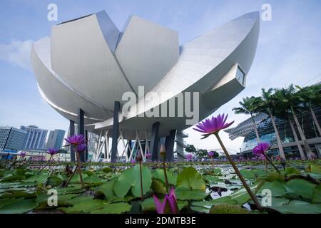 Singapour : Musée ArtScience, Marina Bay Sands Banque D'Images