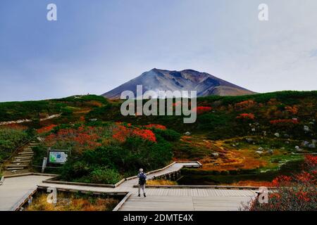 Feuilles d'automne à Mt. Asahi, Hokkaido, Japon Banque D'Images