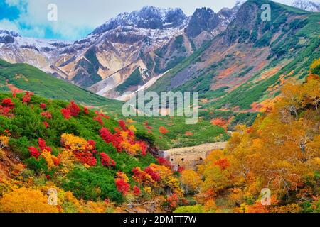 Feuillage d'automne, Tokachidake Onsen, Hokkaido, Japon Banque D'Images