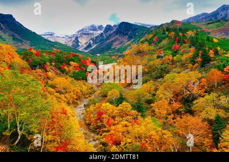 Feuillage d'automne, Tokachidake Onsen, Hokkaido, Japon Banque D'Images