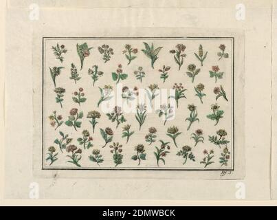 Fleurs, gravure à la main, pinceau et aquarelle rouge, verte et jaune sur papier, quarante-neuf branches avec fleurs, disposées en six lignes. Deux lignes bordant, gravées., Allemagne, 1775-1800, imprimé Banque D'Images