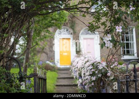 portes colorées de dublin au printemps, portes jaunes et roses avec entrée de jardin Banque D'Images