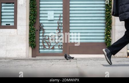 17 December 2020, Hessen, Frankfurt/Main: A pigeon (below) stands unmolested on the pavement outside a closed downtown store. In the fight against the corona virus, public life is being shut down with a lockdown for the second time this year. Photo: Frank Rumpenhorst/dpa Stock Photo